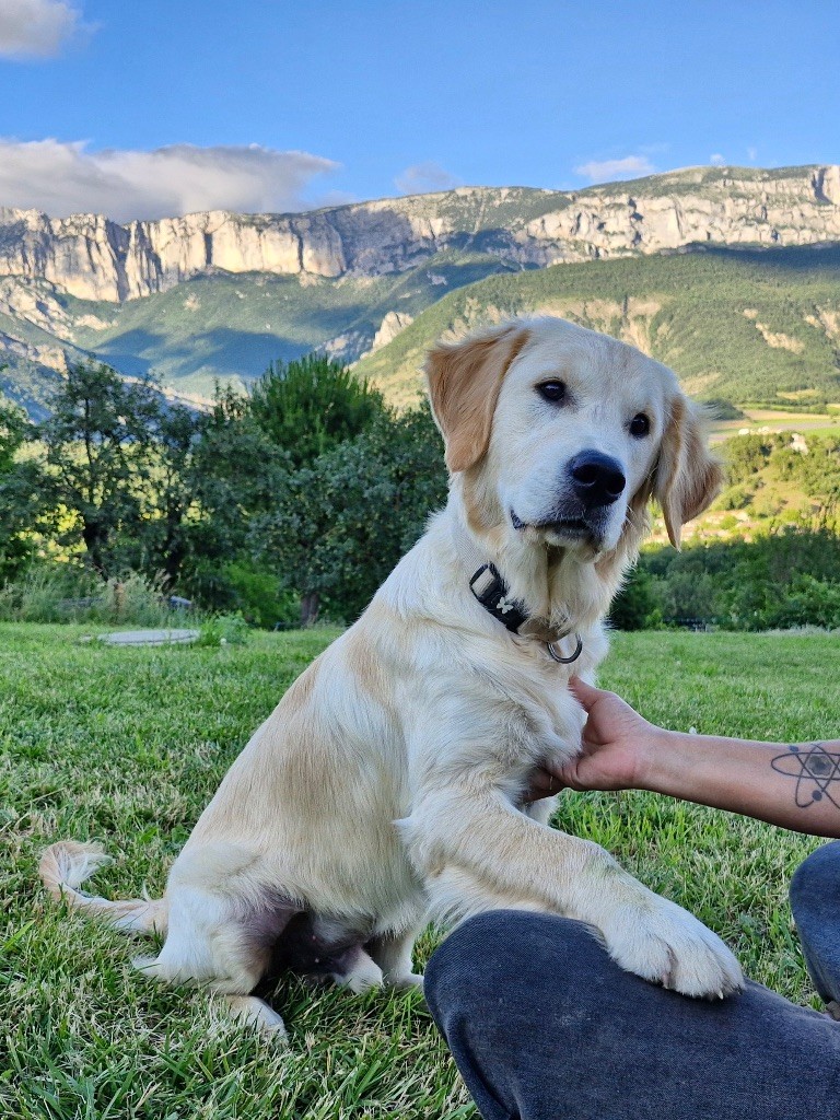 Vaia (Sans Affixe)